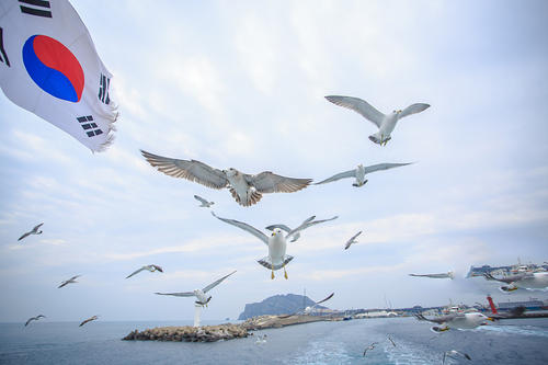 從“非主流”到主流，韓國留學是怎樣逆襲的？